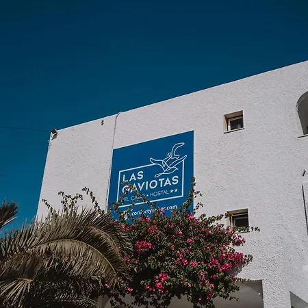 Hostal Las Gaviotas-2